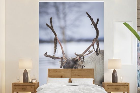 Nr1Wallpaper Behang - Fotobehang Een rendier voor een vervaagd sneeuwlandschap - Breedte 160 cm x hoogte 240 cm