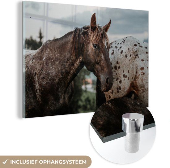 MuchoWow® Glass Painting 60x40 cm - Acrylic Glass Painting - Horses - Grass - Animals - Photo on Glass - Paintings