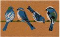Relaxdays kokosmat 60x40cm, deurmat met zwaluwen, antislip, meerkleurig