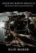 Could Libri GmbH Could You Survive Apollo 13? Paperback