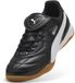 Puma King Liga It Heren Indoorschoenen Zwart - Maat 40