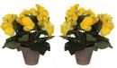 Mica Decorations Kunstplant - 2x - Begonia - Geel - In pot - 25 cm