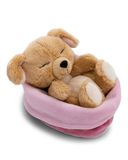 NICI Hond, 12 cm, beige - 63133 | Slapend in mandje, zachte pluche knuffel voor kinderen en volwassenen, fijn om te knuffelen en mooi als cadeau
