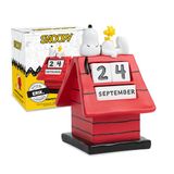 Grupo Erik Snoopy 3D Kalender