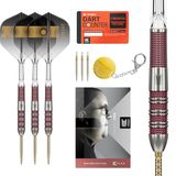 Target Stephen Bunting 95K Swiss Point 95% - Dartpijlen