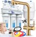 Ari Waterfilter voor onder de gootsteen, model RO7, met 3-weg keukenkraan Venom 2, omgekeerde osmose, 7 filters, geborsteld goud