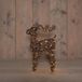 Anna's Collection cerf naturel classique chaud 100led