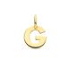 Marie Celeste hanger letter - Goud