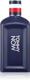 Tommy Hilfiger Eau de toilette spray / 100 ml / Mannen
