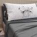 PETTI Artigiani Italiani - Katoenen beddengoed met kussenslopen met digitale print, eenpersoonsbed, beddengoedset voor eenpersoonsbed, donkergrijs, 100% Made in Italy