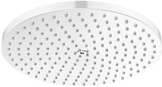 Hansgrohe Raindance S 240 1jet PowderRain Mat Wit 27623700 - Hoofddouche