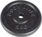Bodyline Gietijzeren schijf van 5 kg