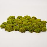 Prefleur Bewaarde Pole Mos Kussen Bun Kussen Natuurlijke Groene Decoratieve Echte Natuurlijke Groene DIY Kit Tuinieren Kunst Muur Decor Bloemist Decor Pasen Tafel Decor Bruiloft (1,5 m², Groen-D)
