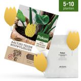 Pokon Rouwvliegjes Bestrijding Pakket - Aaltjes voor 5 tot 10 planten & 15 Bio Vangplaatjes - Tegen rouwvliegjes bij kamerplanten