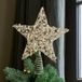 LOBERON Kerstboompiek met leds Seraphele