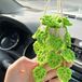 Sans marque Suspension plante décoration - Vert - Tissu - 10 cm