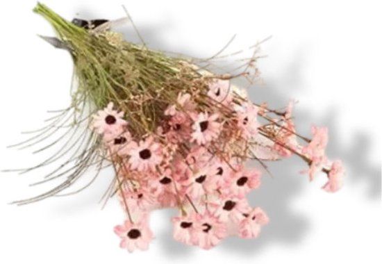 Buitengewoon Boet Buitengewoon de Boet Kunst Tak Rhodante Roze