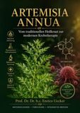 Artemisia annua – Vom traditionellen Heilkraut zur modernen Krebstherapie