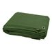 Icecat Bâche de protection, 110g/m², vert, 6 x 10 mètres, imperméable