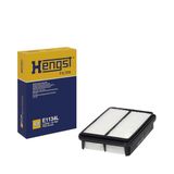 HengST 5687310000 luchtfilter