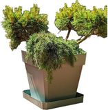 Merkloos Riviera Bloempot Bruin 50 x 50 cm