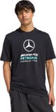 Adidas Performance Mercedes - AMG Petronas Formula 1 Team DNA Graphic T-Shirt Heren Zwart L
