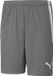 Puma Teamliga Short Heren - Grijs | Maat: XL