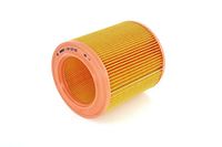 BOSCH Luftfilter 1457433652