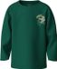 NAME IT Jongens Lange mouwen shirts Evergreen Katoen Maat 110