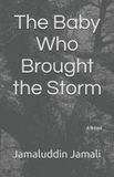 The Independently Published The Baby Who Brought the Storm Paperback