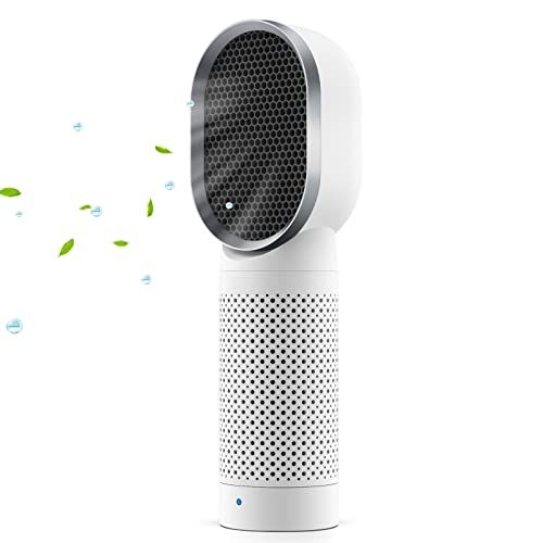 QUEENTY Luchtreiniger met HEPA-combifilter en actieve koolfilter, ionisator, perfect voor stof en huisdier-allergieën, rokers, astma, rookkamer, woning (wit)