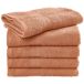 SG Accessories Towels Rhine Serviette de plage