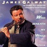 Wind Sony Music Entertainment International Services GmbH The Wind Beneath My Wings CD