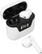 Allecto Plus Traducteur linguistique Bouchons d'oreilles Traducteur Bluetooth 144 langues Traduction en temps réel Réduction du bruit Traducteur vocal instantané