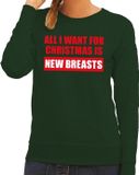 Bellatio Decorations Shoppartners Bv Foute kersttrui / sweater All I Want For Christmas Is New Breasts groen voor dames - XS