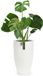 Fox & Fern Bloempot met stop, Bloempot groot voor binnen/buiten, Sierpot UV- & vorstbestendig, Polystone-bloempotten wit, Bloempot 30 cm diameter, Grote plantenpot voor kamerplanten