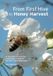 From Northern Bee Books From First Hive to Honey Harvest Paperback