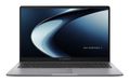 ASUS ExpertBook P1 / PM1503CDA-S70318X