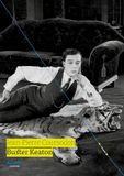 Buster Keaton Paperback 336 pagina's