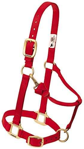 Weaver Leather Nylon Adjustable Draft Horse Halter, Red