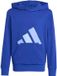 Adidas Essentials Hoodie Blauw 13-14 Years Kinderen