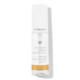 Dr. Hauschka 4020829006881 - Vochtinbrengende crème gezicht - 40 ml