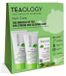 Teaology Matcha Repair Hair Care Kit