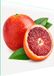 TMK ArtDeko Glazen beschermplaat voor fornuis, 50x52 cm, grapefruitmotief