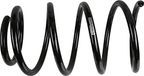 Sachs 998 974 chassisveer