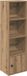 vidaXL Bibliothèque - 31x24x102 cm - bois traité - chêne artisanal
