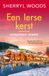 Een HarperCollins Chesapeake Shores 8 - Een Ierse kerst