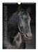 Lannoo Paarden Verjaardagskalender