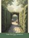 Large Print Maze Adventures: 30 Soothing Mazes — Volume 5