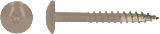 pgb-Europe PGB-FASTENERS HPL schroef Tx20 4,8x38 R1019 A4